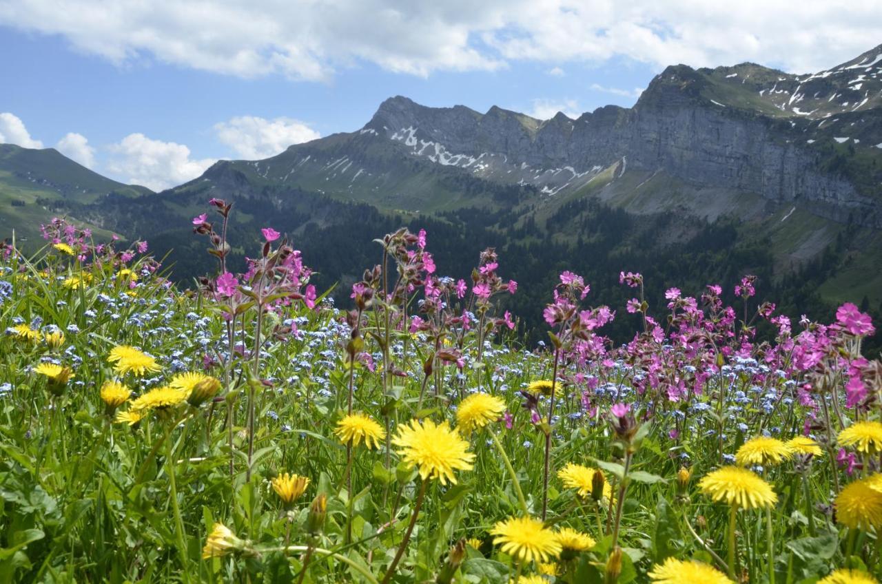 Ferienwohnung Ob Vierwaldsaettersee Isenthal المظهر الخارجي الصورة