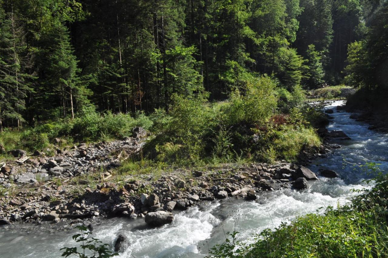 Ferienwohnung Ob Vierwaldsaettersee Isenthal المظهر الخارجي الصورة