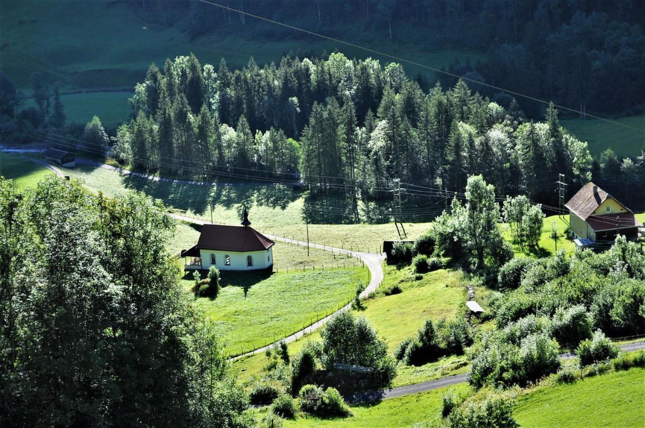 Ferienwohnung Ob Vierwaldsaettersee Isenthal المظهر الخارجي الصورة